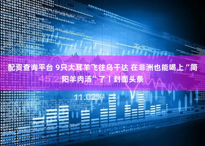 配资查询平台 9只大耳羊飞往乌干达 在非洲也能喝上“简阳羊肉汤”了丨封面头条