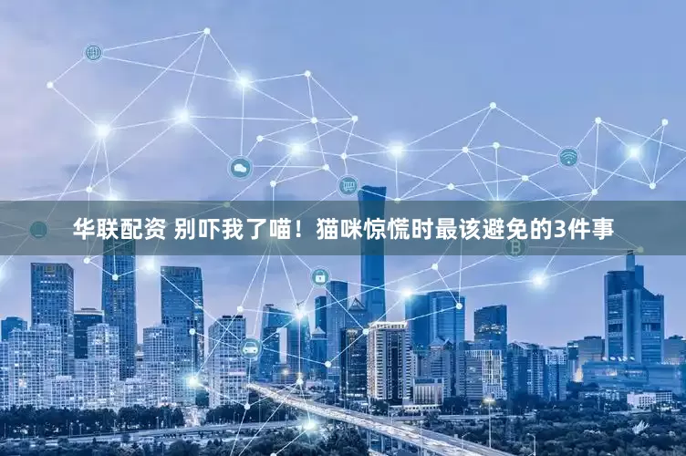 华联配资 别吓我了喵！猫咪惊慌时最该避免的3件事
