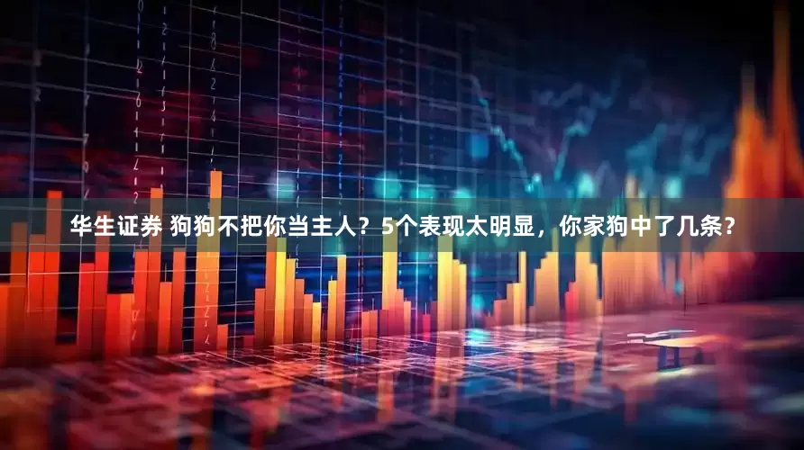 华生证券 狗狗不把你当主人？5个表现太明显，你家狗中了几条？