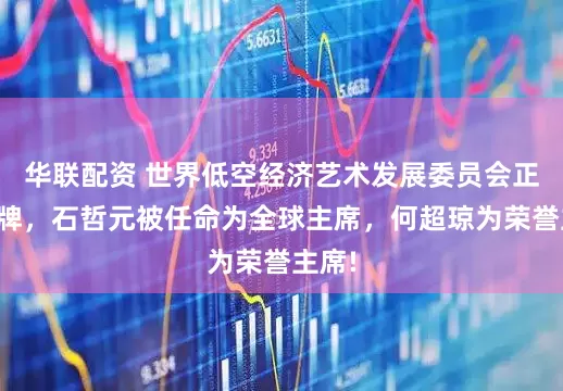 华联配资 世界低空经济艺术发展委员会正式揭牌，石哲元被任命为全球主席，何超琼为荣誉主席!