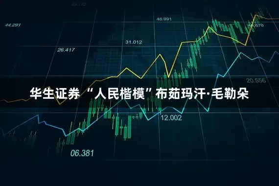 华生证券 “人民楷模”布茹玛汗·毛勒朵